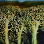 SARA PHILPOTT oil on board - landscape with trees entitled verso 'Three Winter Trees', signed