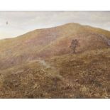 DAVID COWDREY oil on canvas - barren mountainside with stone wall, isolated tree and solitary