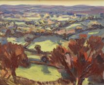 DAVID LLOYD GRIFFITH oil on board - North Wales landscape with autumnal trees, entitled verso '
