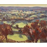 DAVID LLOYD GRIFFITH oil on board - North Wales landscape with autumnal trees, entitled verso '