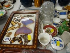 A parcel of china, a display of butterflies etc