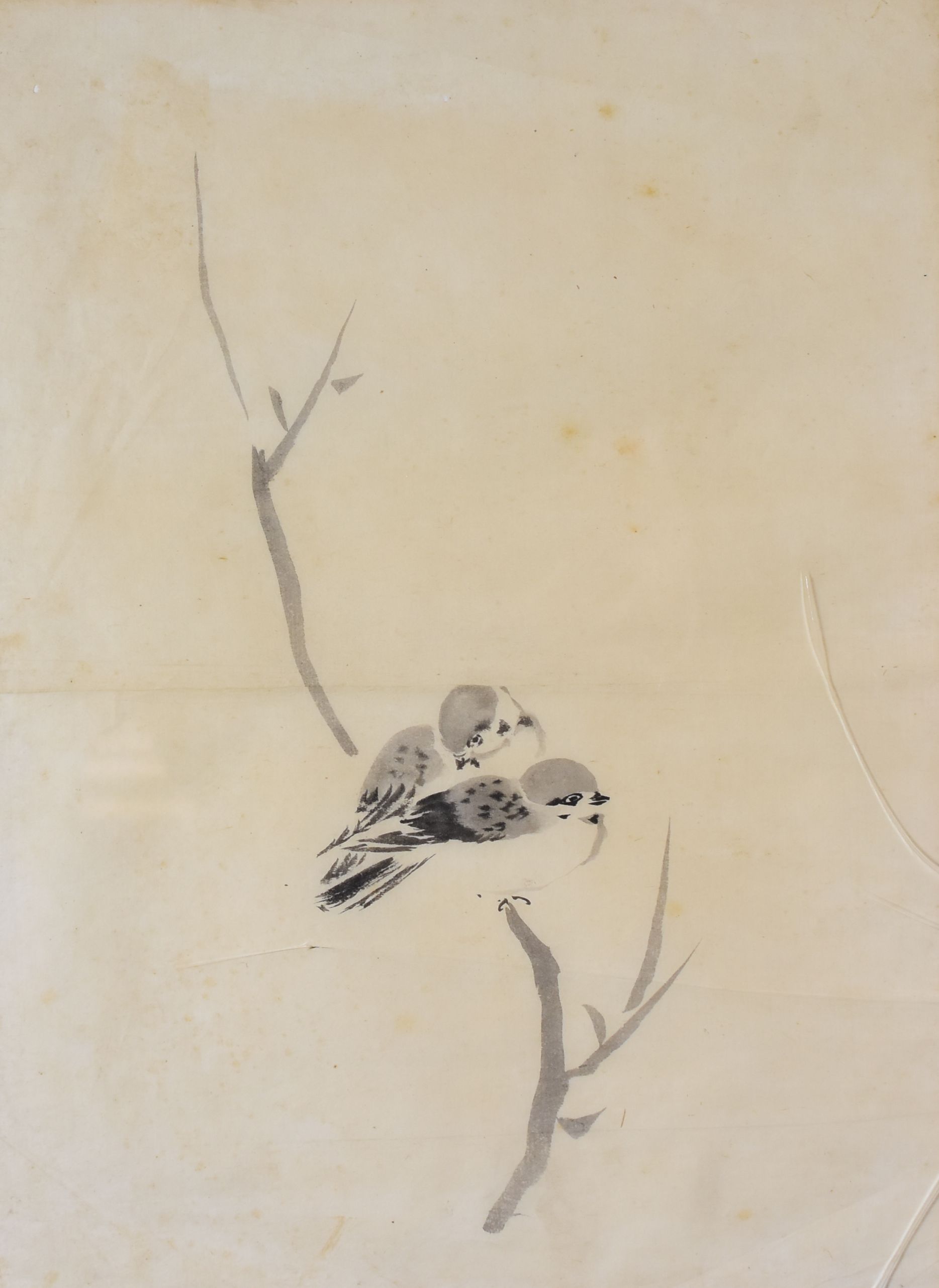 JAPANESE / CHINESE SCHOOL watercolours - four framed watercolours of resting birds, unsigned, each - Image 4 of 4
