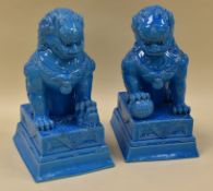 A PAIR OF POTTERY LION DOGS ON PLINTHS in a blue glaze, twentieth century, 36cms high
