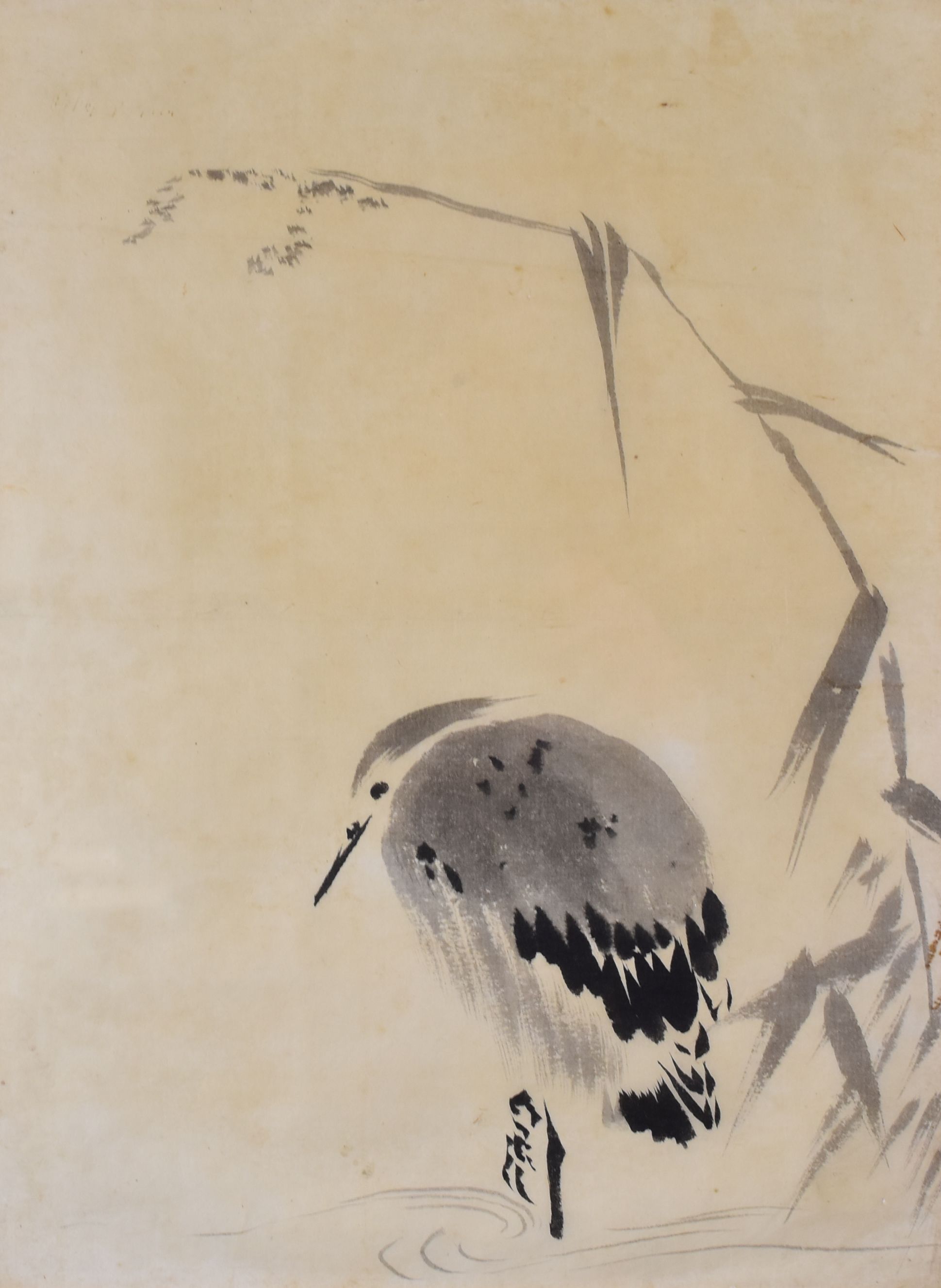 JAPANESE / CHINESE SCHOOL watercolours - four framed watercolours of resting birds, unsigned, each - Image 2 of 4