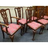 A SET OF SIX CHIPPENDALE-STYLE DINING CHAIRS with elaborate backs and ball and claw feet having drop