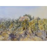 UNKNOWN MODERN watercolour - vineyards with roof-tops beyond, indistinctly signed and dated (19)