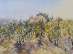 UNKNOWN MODERN watercolour - vineyards with roof-tops beyond, indistinctly signed and dated (19)