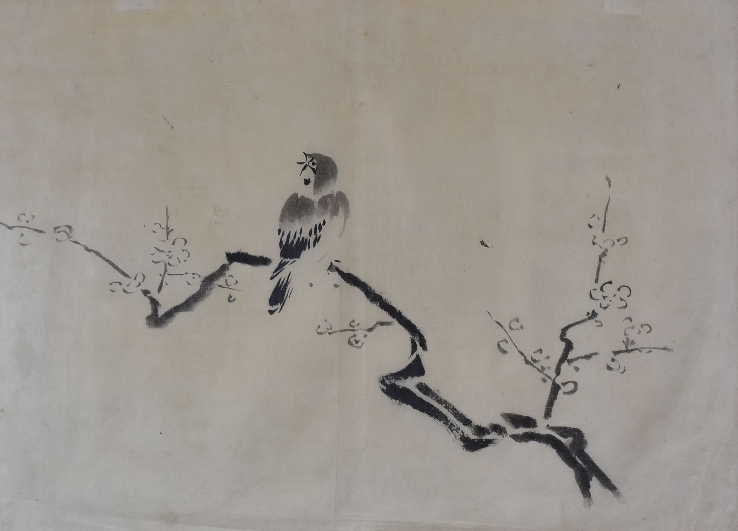 JAPANESE / CHINESE SCHOOL watercolours - four framed watercolours of resting birds, unsigned, each