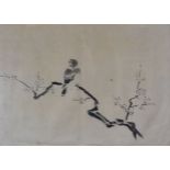 JAPANESE / CHINESE SCHOOL watercolours - four framed watercolours of resting birds, unsigned, each