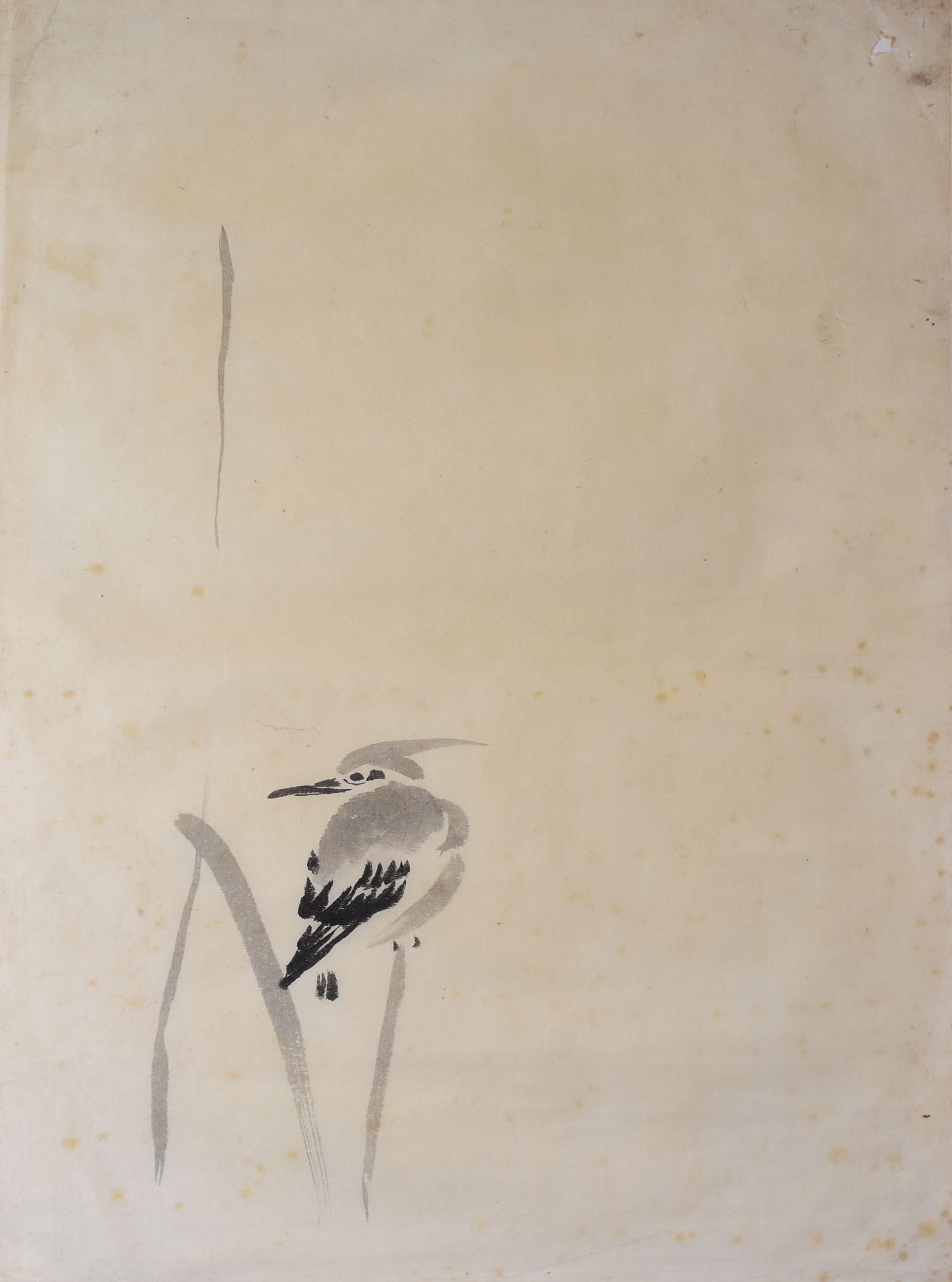 JAPANESE / CHINESE SCHOOL watercolours - four framed watercolours of resting birds, unsigned, each - Image 3 of 4