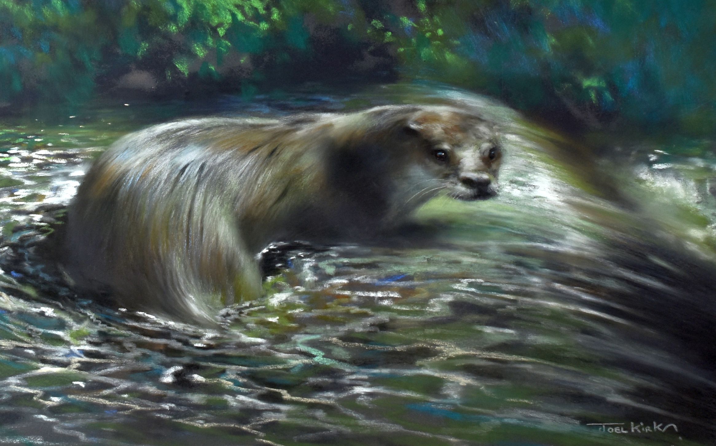 JOEL KIRK pastel - otter in river above weir, signed, 30 x 48cms