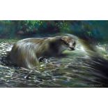 JOEL KIRK pastel - otter in river above weir, signed, 30 x 48cms