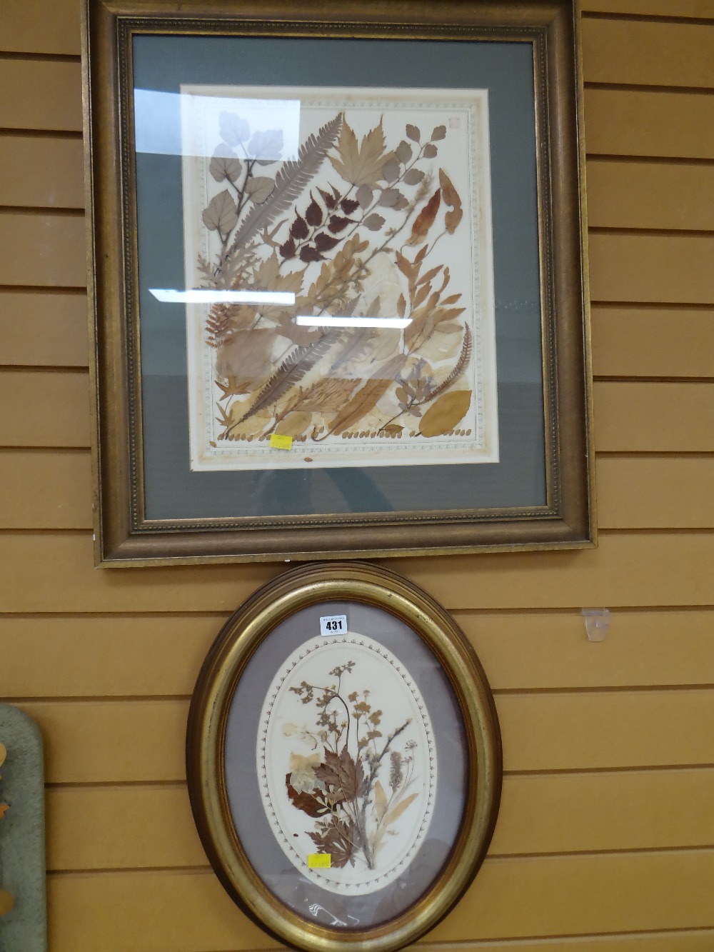 Two framed naturalistic collages