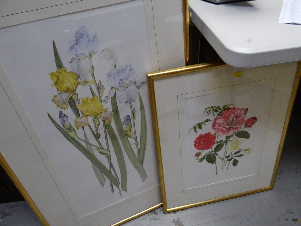 Two framed watercolours of botanical studies by Evelyn Binns