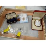 A parcel of Gems TV and earlier jewellery including a cameo brooch (damaged), other brooches etc