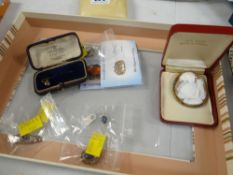 A parcel of Gems TV and earlier jewellery including a cameo brooch (damaged), other brooches etc