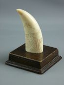 A 19th CENTURY SCRIMSHAW TOOTH mounted upon an oak base, the front decorated with an arch of stars