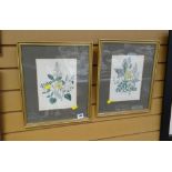 Two framed botanical prints