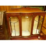 AN EARLY 20th CENTURY MAHOGANY DISPLAY CABINET with shaped top rail and rope edge moulding over a