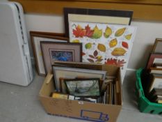 A box of various clip framed prints together with framed prints