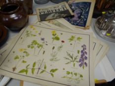 A folio of nature prints together with a Daily Mail Royal Wedding Day souvenir issue & a copy of the