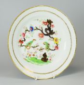 A SWANSEA PORCELAIN PLATE DECORATED WITH A PAIR OF CHAINED PARAKEETS in bright enamels and perched