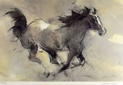 WILLIAM SELWYN coloured limited edition (391/500) print - of a pouncing pony, signed in full, 29 x