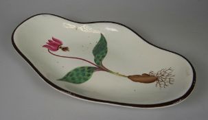 A SWANSEA CREAMWARE GONDOLA SHAPED DISH painted with a full botanical study from flower-head down