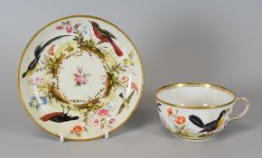 A SWANSEA PORCELAIN CUP & SAUCER finely London decorated (probably by Mortlock's) with birds and