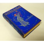 W JENKIN THOMAS 1st edition 'The Welsh Fairy Book', 1907, illustrations by Willy Pogany