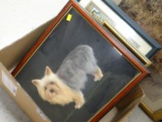 A parcel of framed pictures including a fluffy dog in a frame