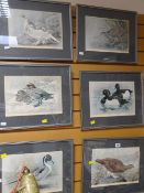 Set of six framed ornithological plates by Basil Ede, signed with Fine Art Guild stamps