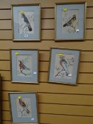 A set of seven framed ornithological studies combining feather work & watercolour