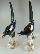 A PAIR OF MEISSEN PORCELAIN MAGPIES with open beaks pointing downwards and their tails up, perched