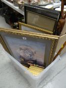 Box of framed tourist pictures and prints, two walking sticks