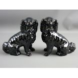 A PAIR OF BLACK JACKFIELD POTTERY TYPE SEATED SPANIELS with open front legs, gilt collars and