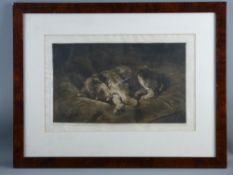 HERBERT DICKSEE etching - peaceful resting dog, signed with original 1922 copyright notice Frost &