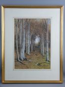 JAMES THOMAS WATTS watercolour - fine treescape, signed, 40 x 29 cms