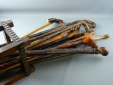 A COLLECTION OF TWENTY PLUS BRIAR & NATURAL WOOD WALKING CANES & STICKS in a near square oak open