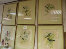 J GOULD & H C RICHTER eight framed print studies of birds