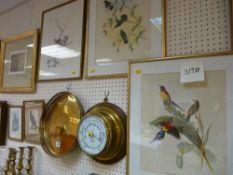 Unsigned well executed watercolour study - bird amongst flowers and three further framed prints -