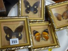 Set of four individually gilt framed butterflies - 'Peru' (2), 'USA' (1) and 'Asia' (1)