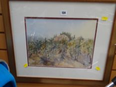 Framed watercolour of a vineyard