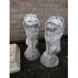 A pair of stone garden lion ornaments together with a pillar cap stone