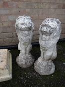 A pair of stone garden lion ornaments together with a pillar cap stone