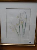 Gwyn Brown watercolour - study of irises, monogrammed (late Gwyn Brown was founder & former owner of