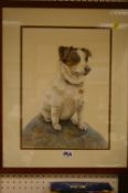 Watercolour - standing Jack Russell by M LANCASTER