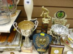 Parcel of bowling trophies