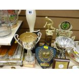 Parcel of bowling trophies