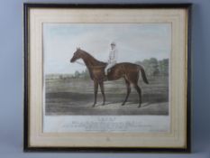 AFTER R POWELL coloured print - the racehorse 'Ladas', published 1894, the horse the former property